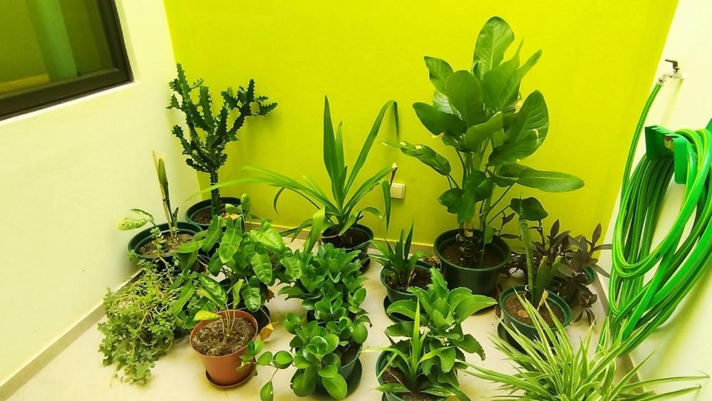 Casa Jpi Hotel Sao Pedro Ngoại thất bức ảnh